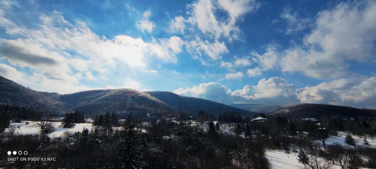 Sky Apartman Soko Banja Dış mekan fotoğraf
