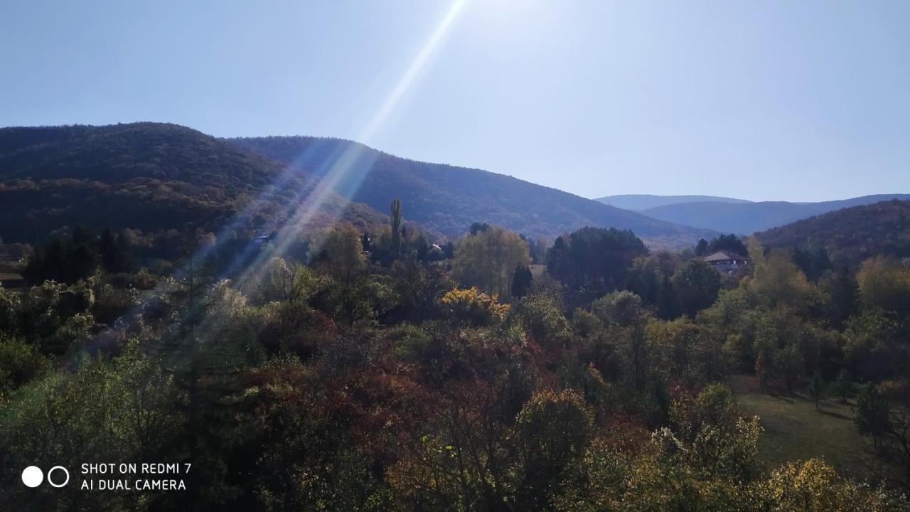 Sky Apartman Soko Banja Dış mekan fotoğraf