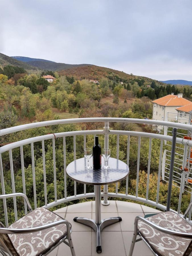 Sky Apartman Soko Banja Dış mekan fotoğraf