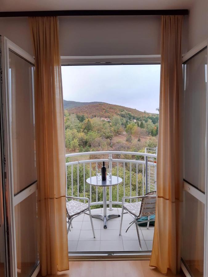 Sky Apartman Soko Banja Dış mekan fotoğraf