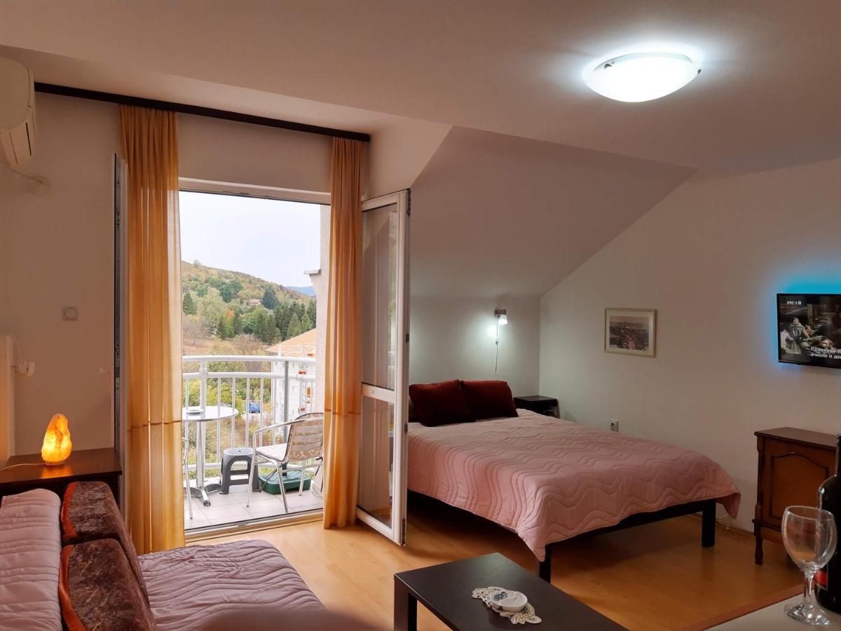 Sky Apartman Soko Banja Dış mekan fotoğraf