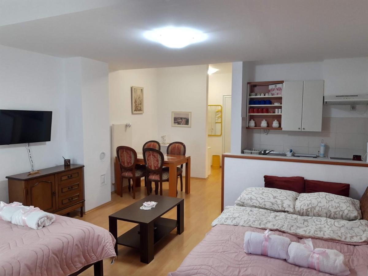 Sky Apartman Soko Banja Dış mekan fotoğraf